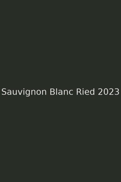 Sauvignon Blanc Alte Rebe 2024