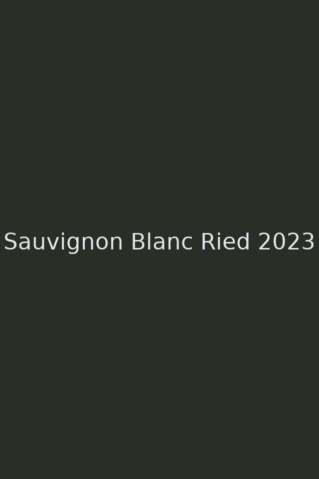 Sauvignon Blanc Alte Rebe 2024 – Flasche Weingut Wutte